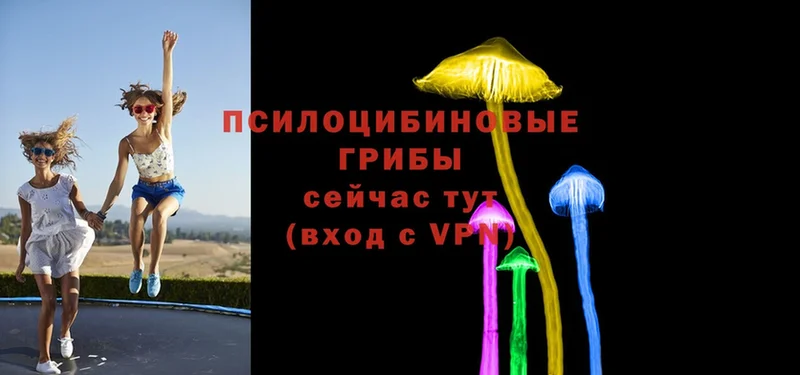 Галлюциногенные грибы Magic Shrooms  Карабаш 